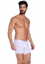 Babalu BOXER 18551 15